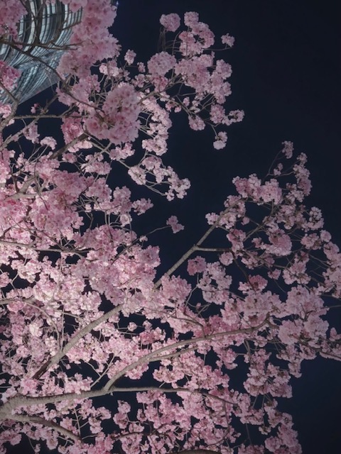 Club Lounge：日記1621167