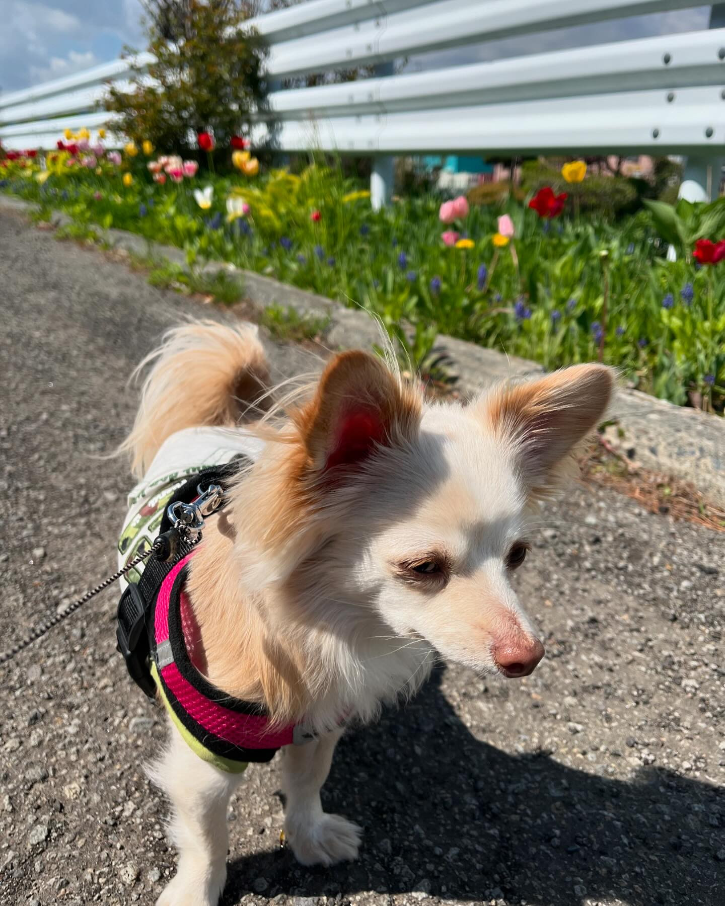 やっと暖かくなって来ましたね☀️
暖かいと気持ち良い〜😊気分も晴れ晴れ😆

それにしても、よく食べてるな〜笑笑
お肉ばっかだな🍖😏

今日はたくさんお酒飲めるかな〜🍻🍷🥂

@clubgalle2580 
#club我礼#すすきの