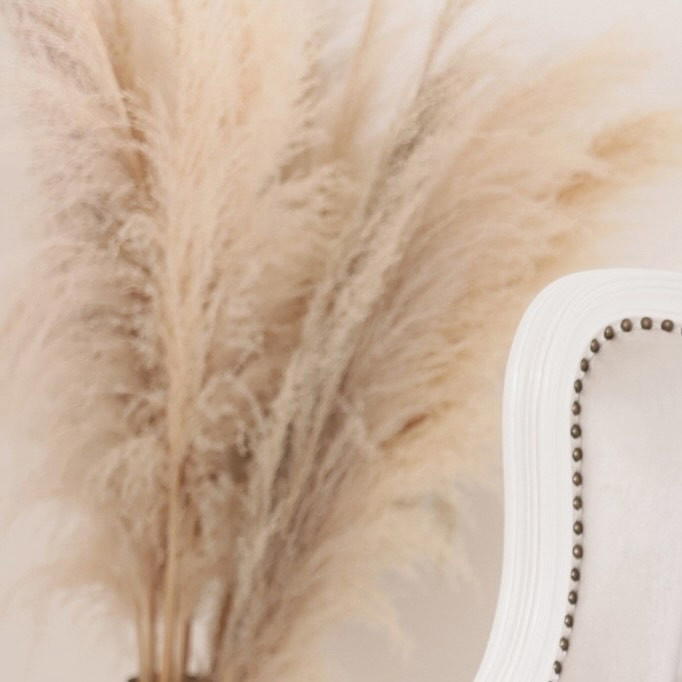 SEASIDE IKEBUKURO ホットニュース 83074