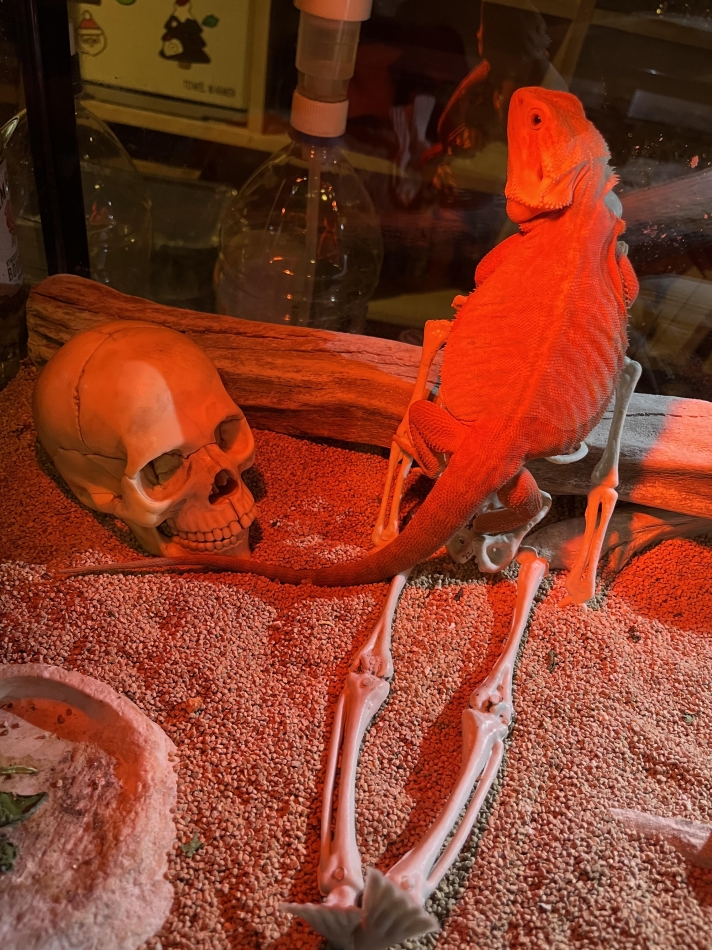 ジュネの部屋！