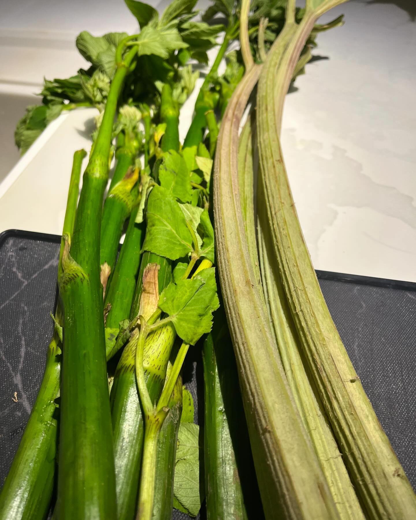 この前のフキ＆ウド！！
フキは油炒め、ウドは全部きんぴらに😋
ウドは酢味噌も食べたかったけど、面倒になっちゃった😅
炊き込みご飯も食べて、栄養たっぷり気分🎵

今日出勤してます😉

@clubgalle2580 
#club我礼#すすきの
#山菜#根菜#だいすき