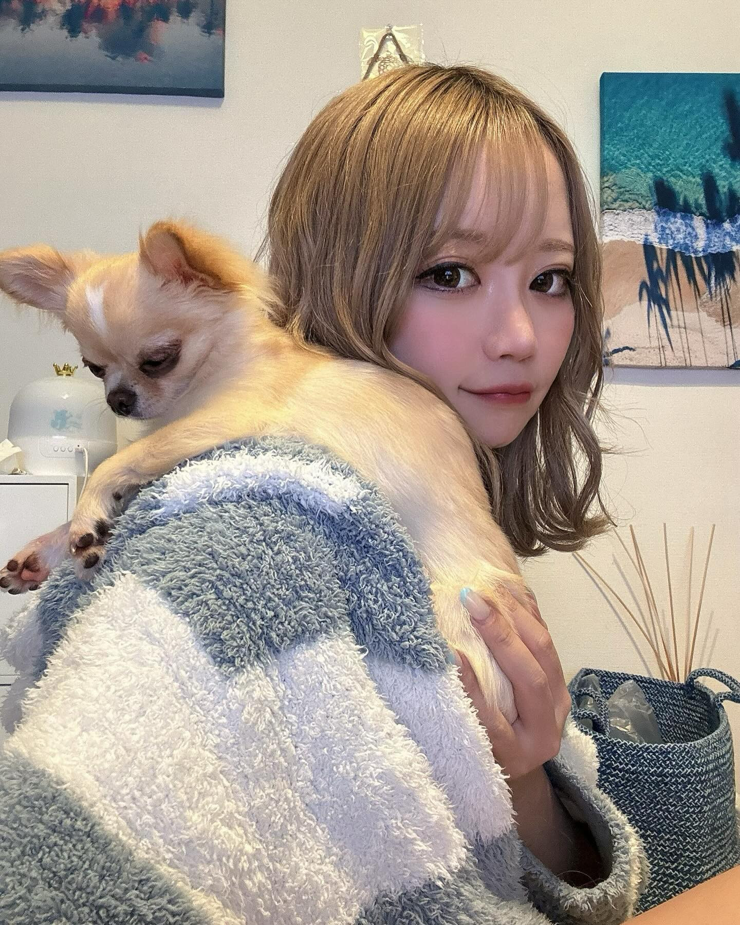 肩のりぴのち🐕ずっとくっついていたいチワワ🐕
最近ここで寝てる🙂🩵💙

#オレンジテラス #オレンジテラス歌舞伎町 #歌舞伎町 #キャバクラ #キャバ嬢 #犬のいる暮らし #犬のいる生活 #チワワ #ロングコートチワワ