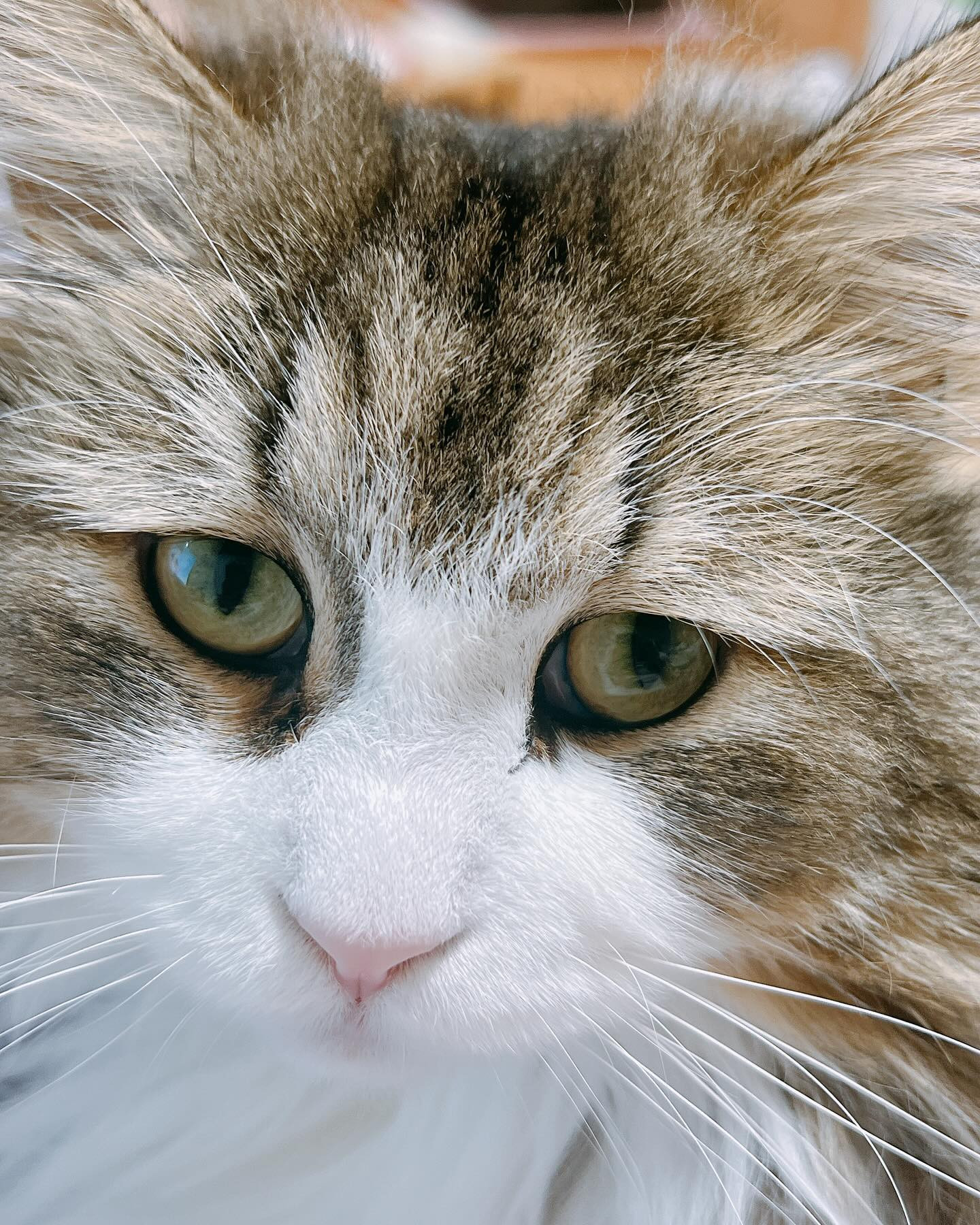 赤門倶楽部日記1090010