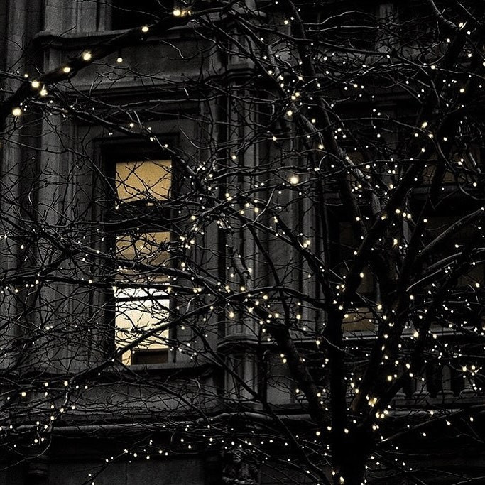  Instagramで記事を開く音ノ瀬 ...