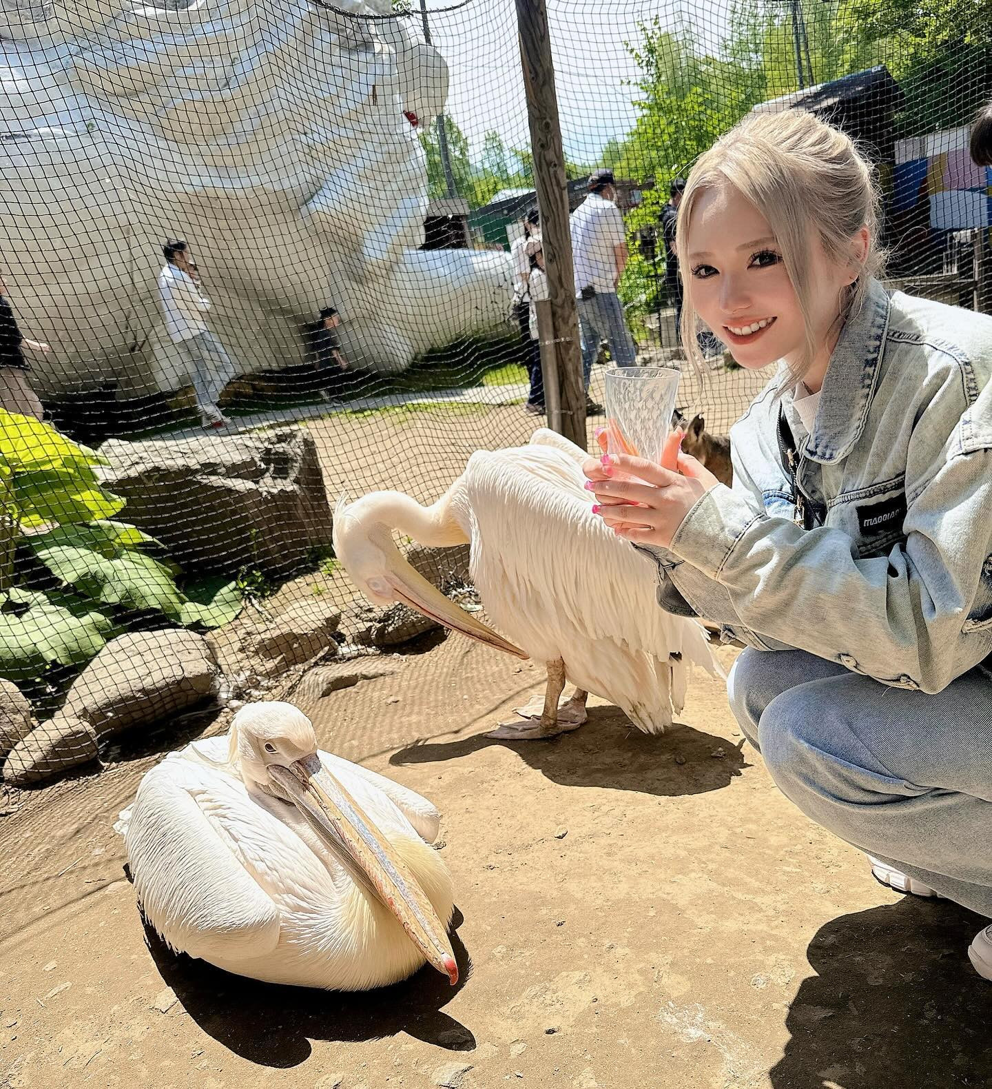 Premier日記1091074