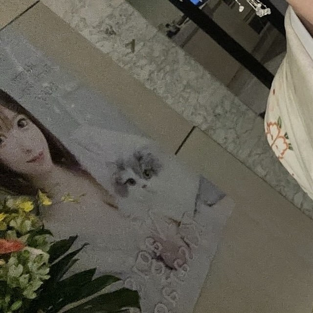 SEASIDE IKEBUKURO ホットニュース 84626