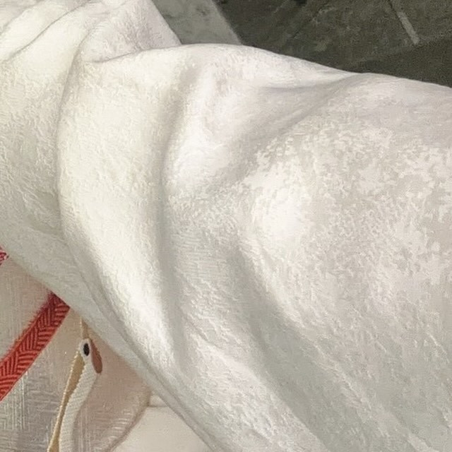 SEASIDE IKEBUKURO ホットニュース 84628