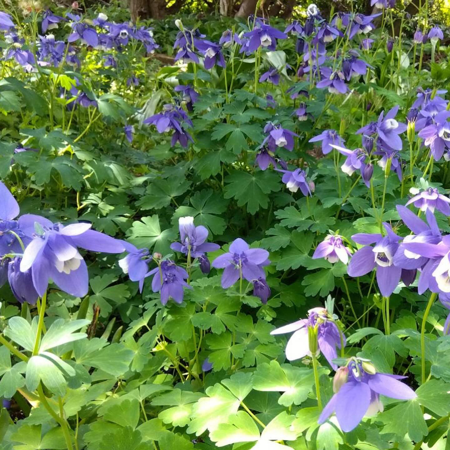 今週も始まりましたね😊
今週も頑張ろう✊
完全にストレス太りだけど、悪い事ばかりじゃない！！たまには、良い事もあるし、考え方次第！！
わかってはいるけど‥

休みの日は運動して、好きな物食べて‥😋
ラーメン＆肉率高いですが😅痩せる気あるのか？お菓子も好きだし😒

@clubgalle2580 
#すすきの
#club我礼
#ラーメンすき