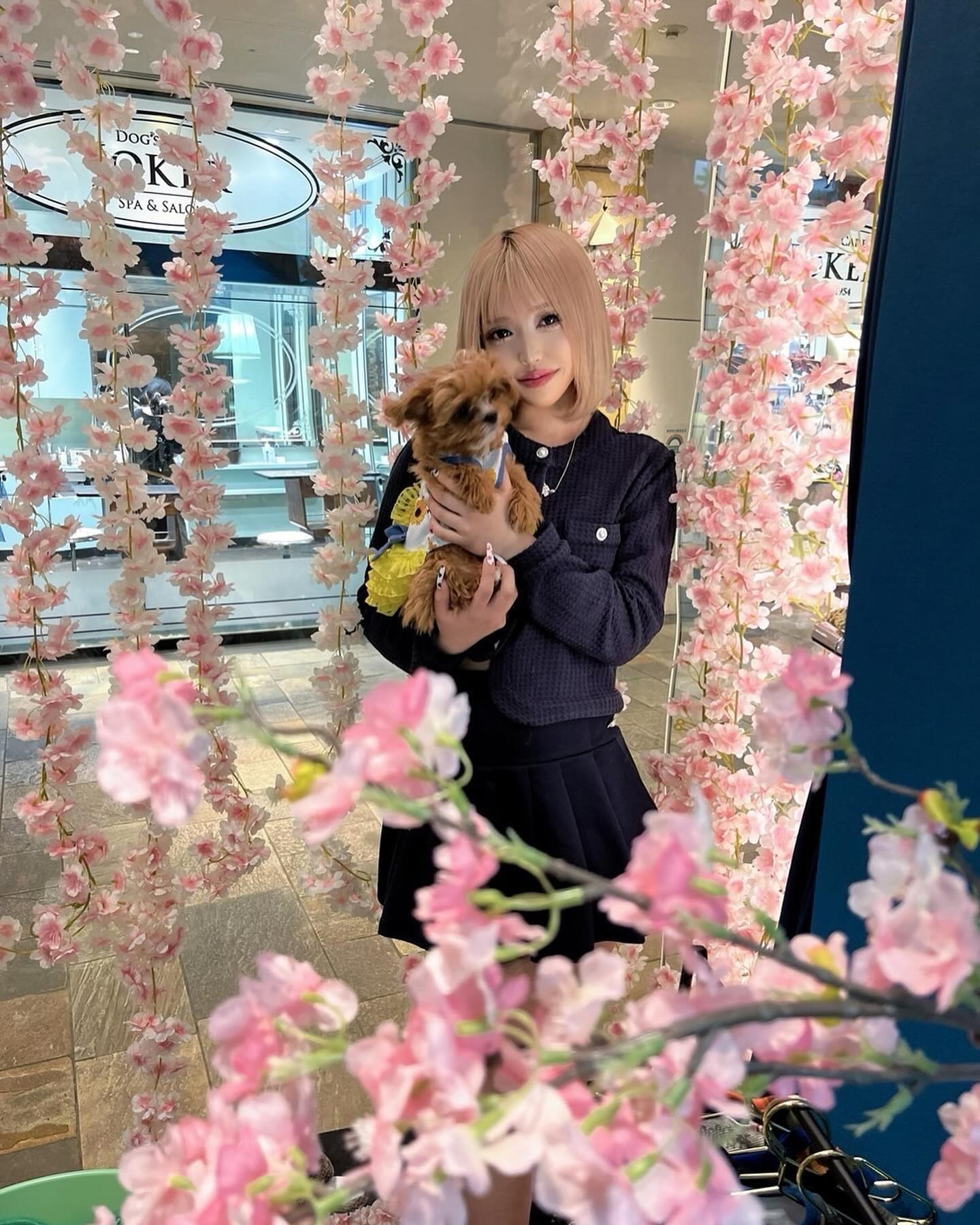 Orange Terrace ホットニュース 84949