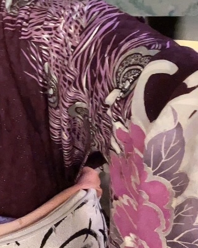 SEASIDE IKEBUKURO ホットニュース 84957