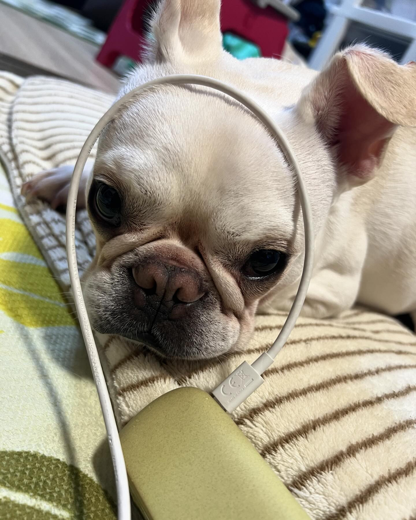 遅めの9時半出勤です！
雨降ってますがぜひ遊びに来てください✨