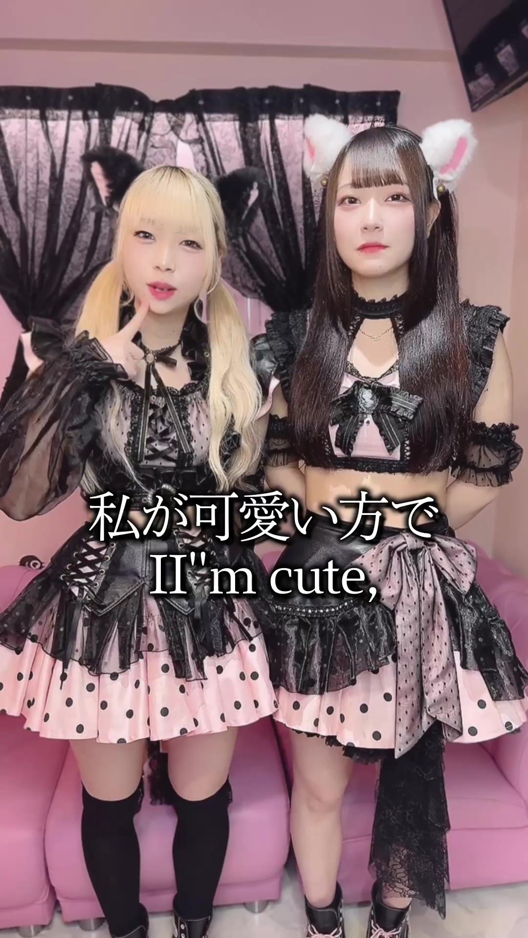 Cafe&Bar ゔぃらねすアカデミア ホットニュース 85553