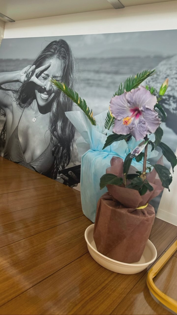 🌺🌞✌🏽
引っ越し完了☑️☑️☑️
バタバタ過ぎて今が何曜日で何時なのかw

実は、家が2月からサロンご一緒させて頂いてる
@haru20170601 さんサロンの504でした🏠w

すごくすごく近くにいたのに、去年末まで接点が
なく、去年末わたしが詐欺にあったり、いろいろ
このままじゃマズいなってタイミングで引き寄せ
合いました🙇🏽‍♀️本当に本当に感謝していますし、
息子と同じくらい私のパワースポット人間です✨

新しい場所でも、私らしく頑張り過ぎず笑
子育ても家事もサロン業も仕事も楽しみます💜
本当