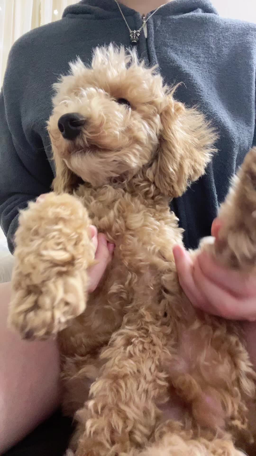 ちんぽこぽこ太郎