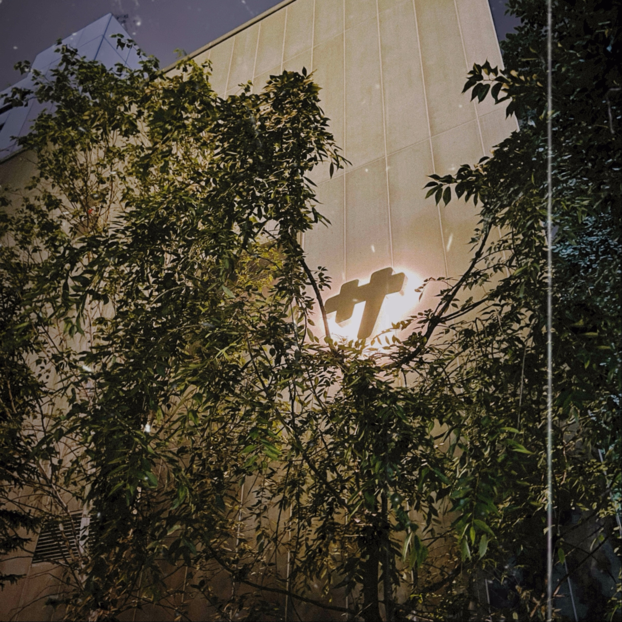 .
渋谷SAUNASが良過ぎてこれはもう今すぐシェアしたい
『サ道』の著者が総合プロデュースしており趣向を凝らした9つのサウナ室、頭まで浸かれる深い水風呂、温度湿度共に完璧、タトゥーぶりぶりでも大丈夫、何よりエモい。激エモ。
行けば分かる
すぐ行って
#渋谷SAUNAS
#サ活
#サウナー
#サウナイキタイ
#シェアハピ