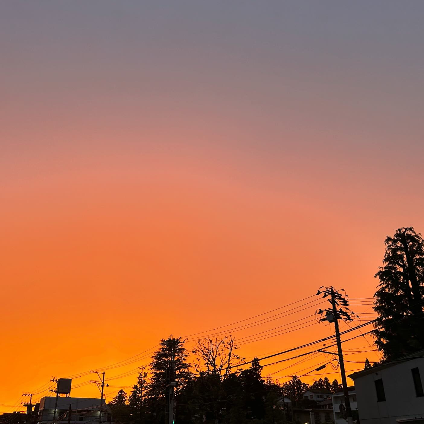 .
ちる🦭
.

#歌舞伎町#六本木#すすきの#国分町#国分町キャバ嬢#北新地#仙台#新宿#銀座#キャバ嬢#キャバクラ#ホスト#クラブ#夜職#ポケパラ#キャバキャバ#ポケパラ東北#ナイツネット東北#美女図鑑東北# #メイク#ヘアメイク#キャバ嬢ヘアメイク#ラウンジ#夕焼け