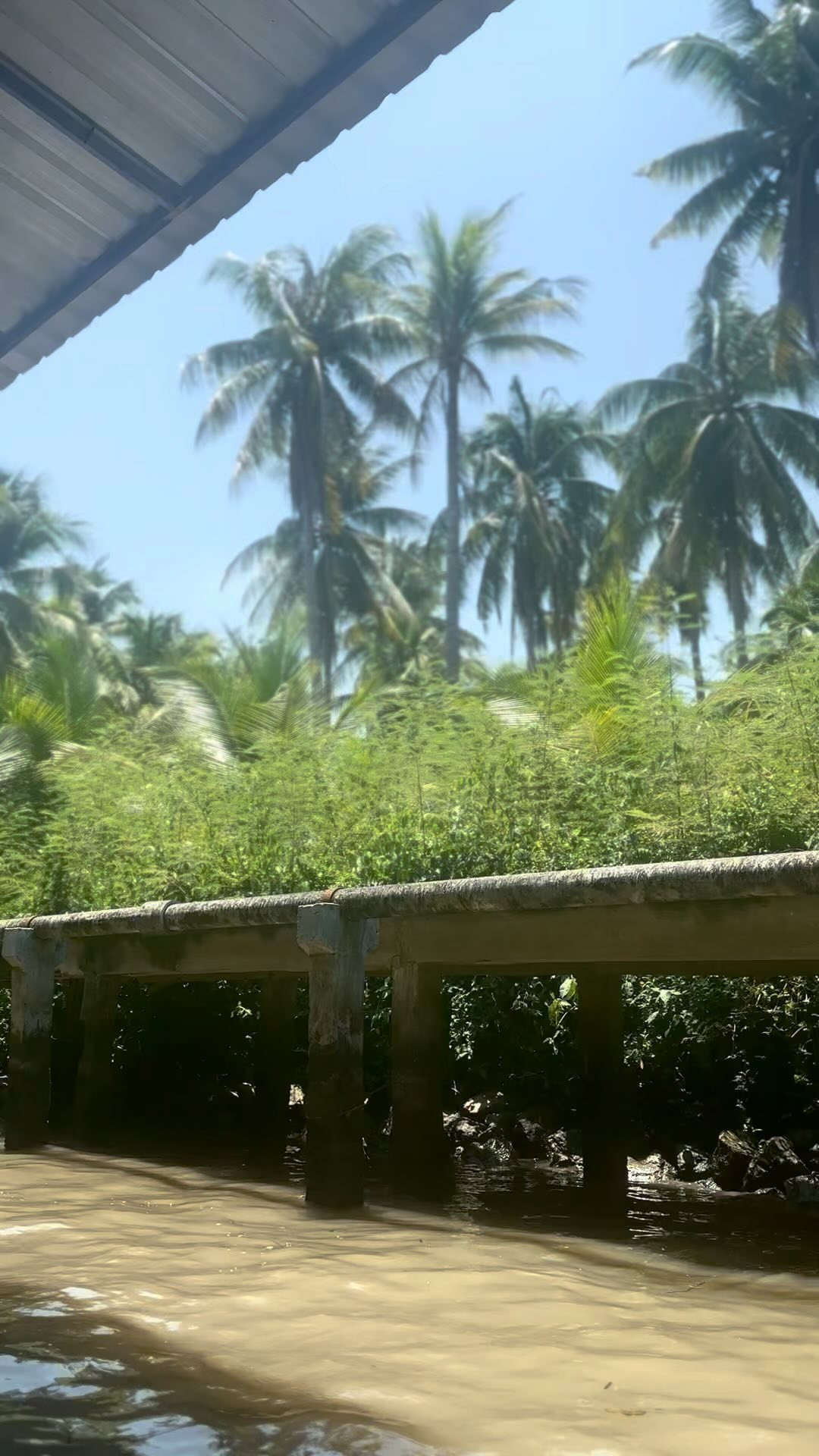 🤍🤍🤍

タイ暑すぎて熱中症か貧血で倒れた🤫

.
.
#🇹🇭