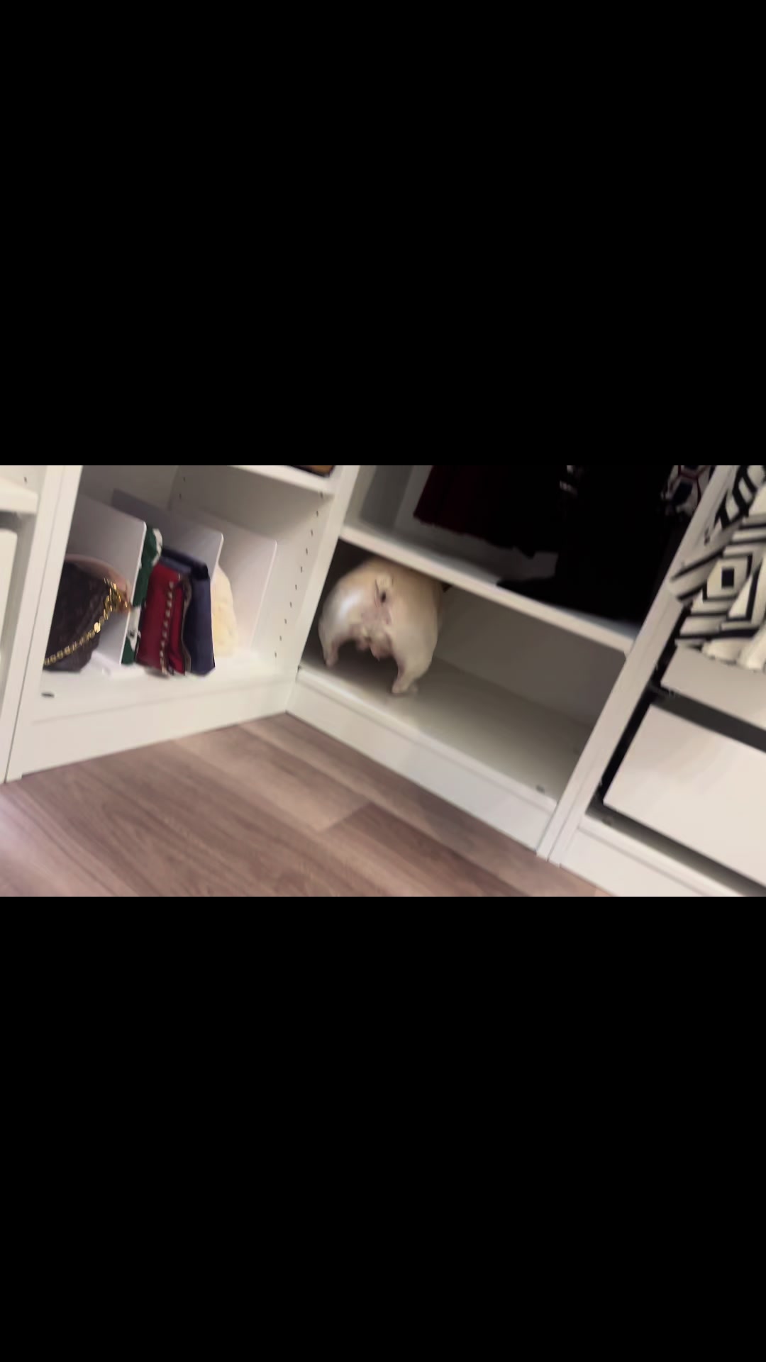 Bar Lounge RUNRUN ホットニュース 91136