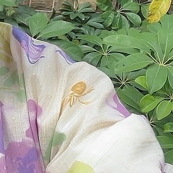 SEASIDE IKEBUKURO ホットニュース 91693