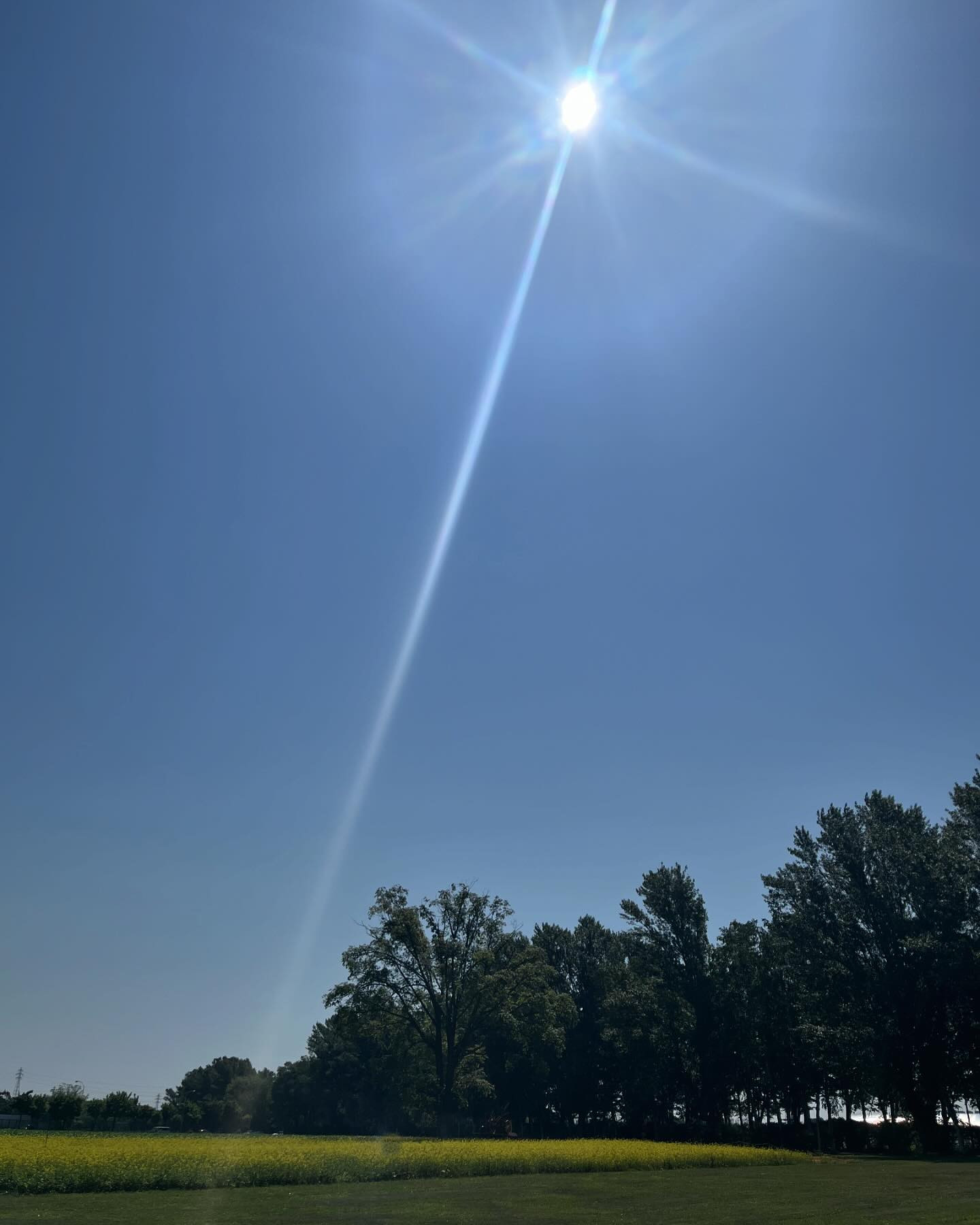 今日も暑かった☀️

6月最後の出勤楽しく過ごせました😊✨✨

来月は我礼の周年もあるので、早く喉治さないと〜っ😂

@clubgalle2580 
#club我礼#すすきの