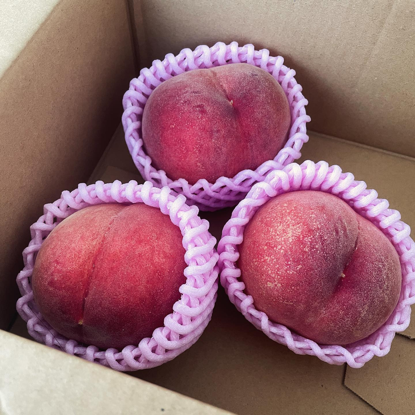 ももももももももももももも！

フルーツの一番好きな季節が来ました！
🍒と🍑と🥭がとってもすき💛

桃の毎週違う種類が送られてくる
定期コース頼んじゃった🤤
サイコーすぎるぅ〜

さて！今月は我礼の周年があります！
よろしくお願いします✨

┈┈┈┈┈┈┈┈┈┈┈┈┈┈┈┈┈┈ 

札幌市中央区南6西4第21桂和ビル6F 
クラブ我礼〜Galle〜 

 @clubgalle2580 

┈┈┈┈┈┈┈┈┈┈┈┈┈┈┈┈┈┈ 
ご来店予定の方はDMください💌 
 
#桃 #クラブ我礼 #15周年 #クラブ