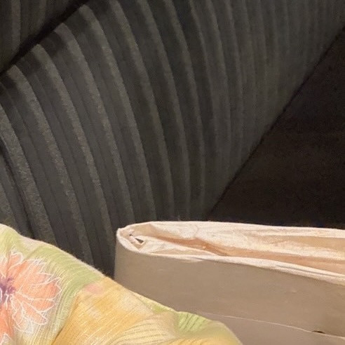 SEASIDE IKEBUKURO ホットニュース 92572