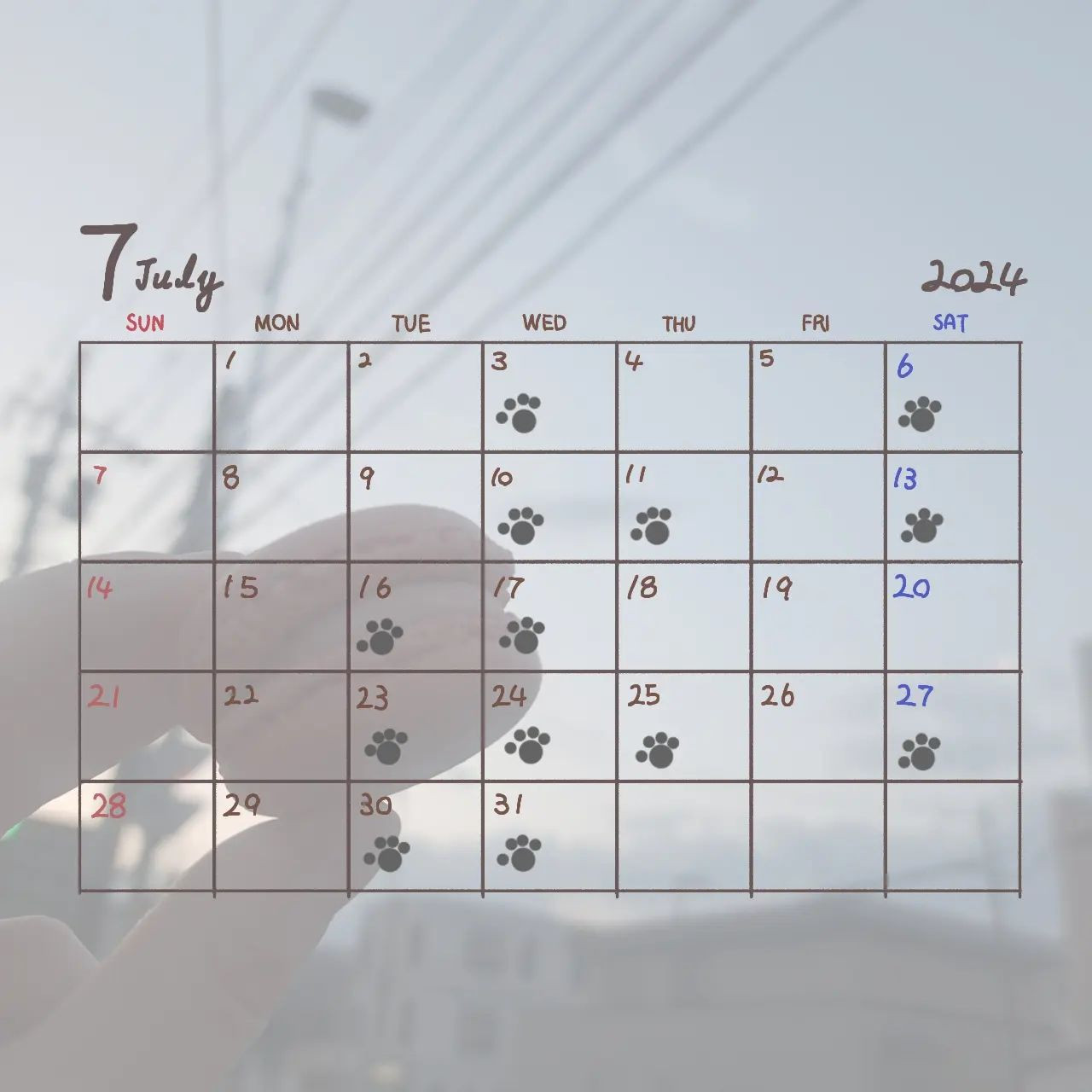  Instagramで記事を開く杏珠さん...