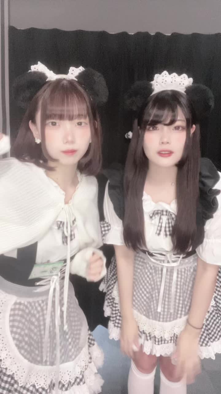 メイドカフェRA ぱんだぱすぽーと ホットニュース 92881