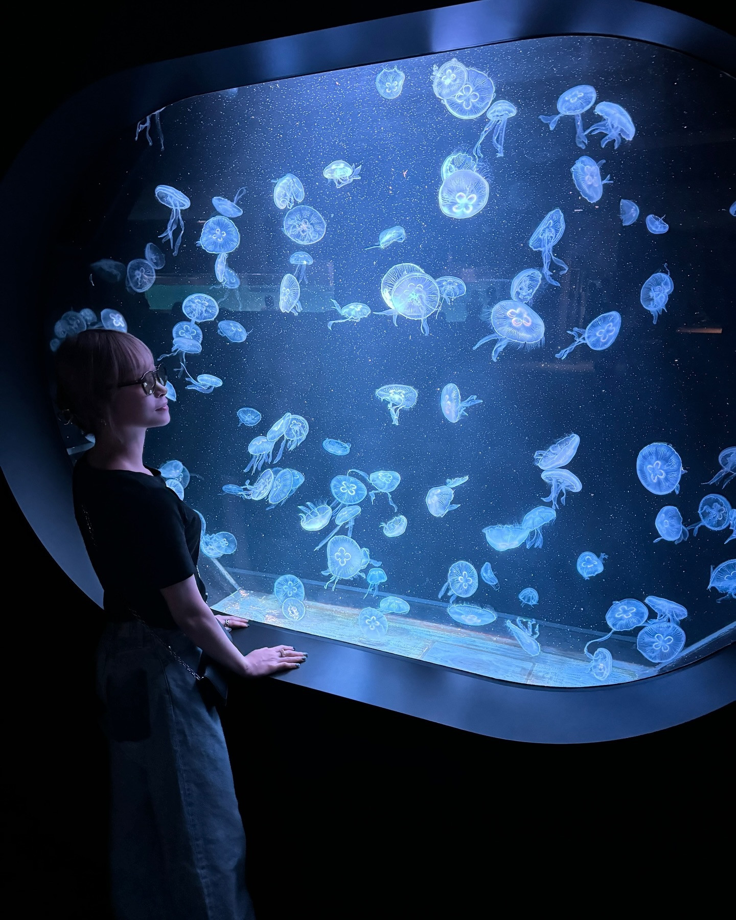 Ocean Sky日記1116064