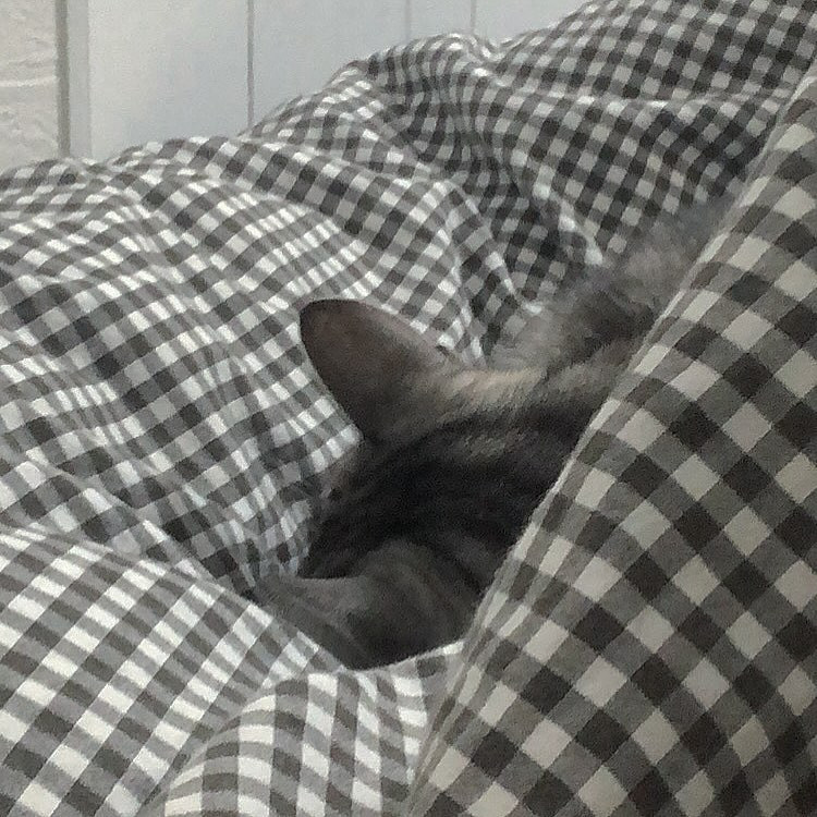  Instagramで記事を開く音ノ瀬 ...