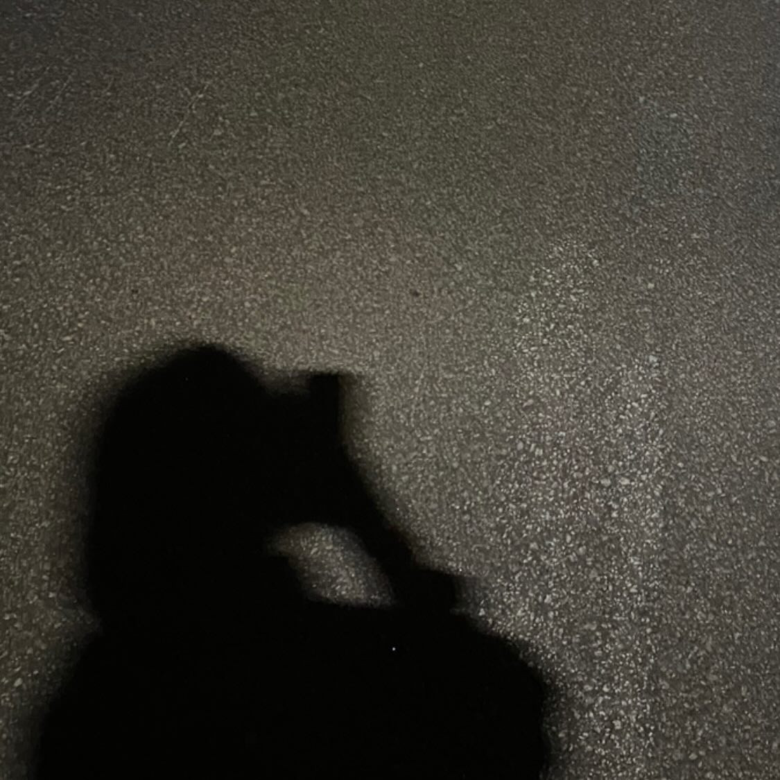  Instagramで記事を開く音ノ瀬 ...