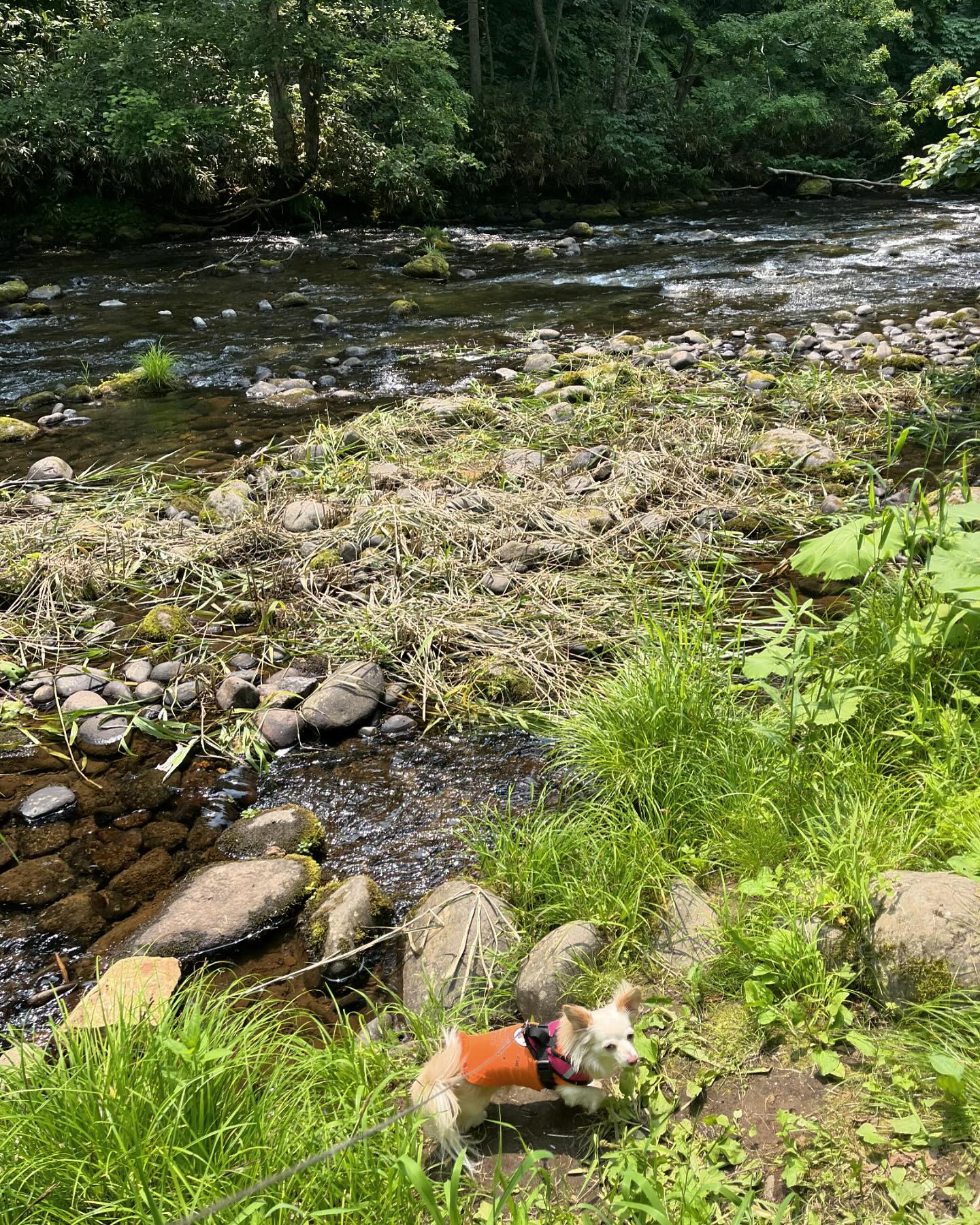 お休み満喫しました〜☺️☀️

声枯れが治らず病院も行って来ました🏥
どうやら検査した方が良さそうです😥
１ヶ月近く続くのおかしいみたいです🥲
でも、身体は元気だし💪食欲も😅

今日も元気に出勤です😄

@clubgalle2580 
#club我礼#すすきの
