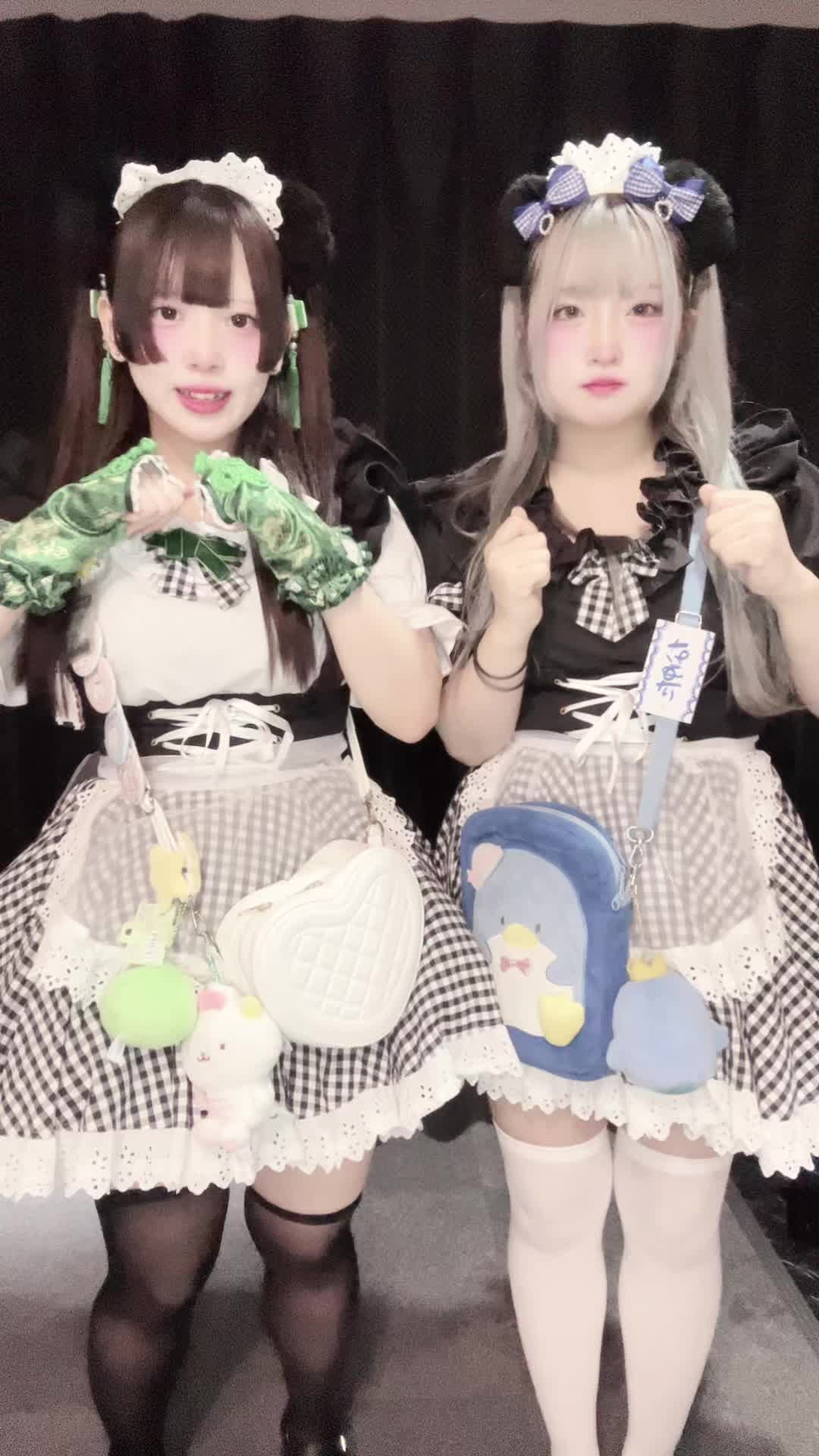 メイドカフェRA ぱんだぱすぽーと ホットニュース 95041