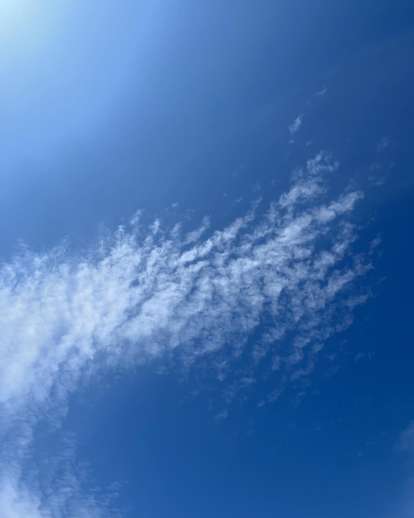 この前の海暑かったなぁ🏖️
透けた服着て行ったらそこが真っ赤に焼けちゃって☀️
久しぶりにヒリヒリ痛いです😥
透けた服って焼けるんだ😓焼けないと思ってました😅おバカだな💧

我礼出勤です😊

@clubgalle2580 
#club我礼#すすきの#海#なつ