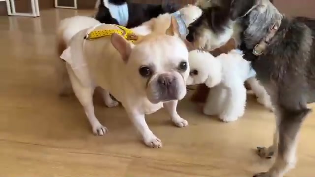 Bar Lounge RUNRUN ホットニュース 99419