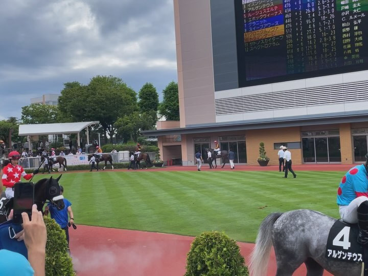 💙

夏の新潟開催開幕🏇🌞

もちろん2週続けて競馬場🐎
暑さ対策で変則開催だったけど
夏は毎週この時間でやってほしい🥵
だいぶ過ごしやすかった！！

そして2週続けて
推しに会えてしあわせ🫶🏻
新潟で乗ってくれるのうれしい

まだまだ夏の新潟は続く…
毎週たのしみです🏇🤍

#新潟競馬場 #新潟競馬 #競馬 #馬女 #うまじょ #umajo #競馬場 #ジョッキー #競馬予想 #競馬女子 #パドック #競馬好きな人と繋がりたい #坂井瑠星 #ギャンブラー #ギャンブル #競馬エイト #スナックのどか #