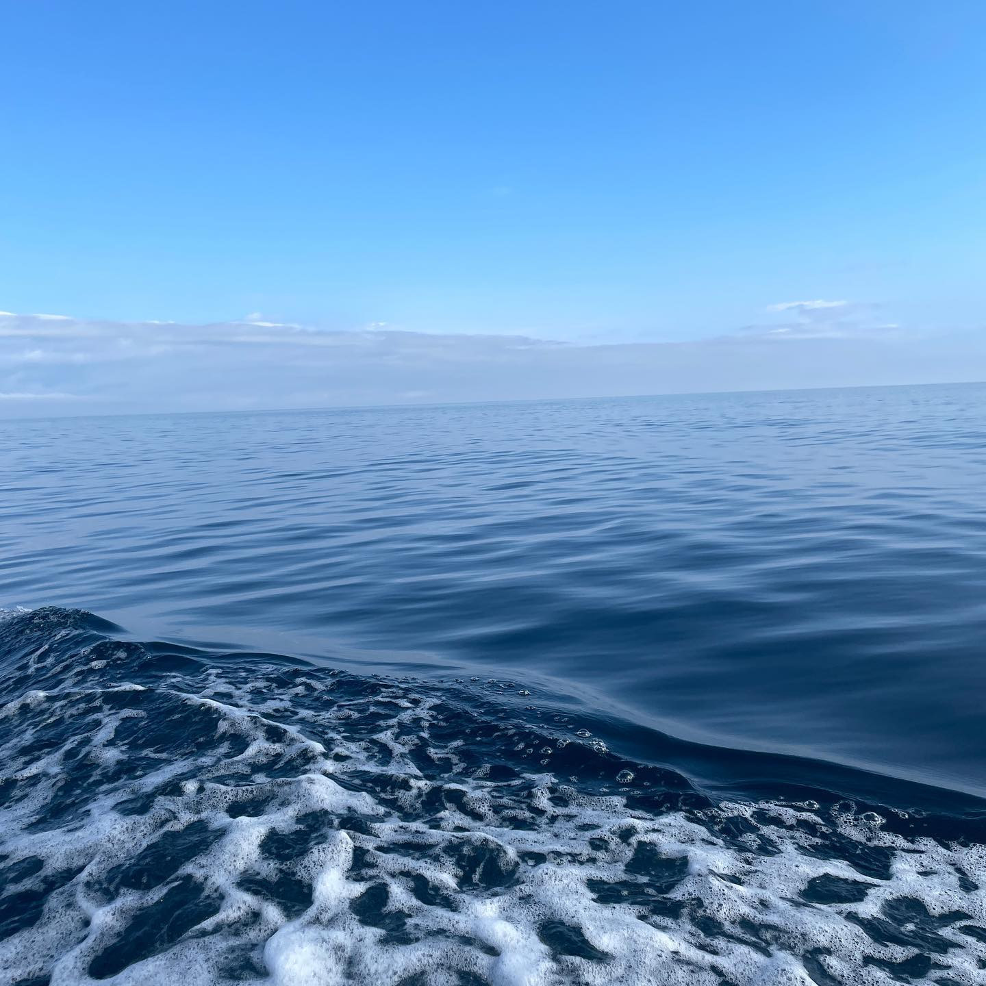 マグロ釣りに行ってきました🎣

釣れませんでした！！！！！(笑)

初めて船乗って釣りしたけど
意外と船酔いは大丈夫でした🙆‍♀️

釣れないから海に飛び込み🌊
気持ちよろし〜🌞
今年海行けてなかったからよかった！

┈┈┈┈┈┈┈┈┈┈┈┈┈┈┈┈┈┈ 

札幌市中央区南6西4第21桂和ビル6F 
クラブ我礼〜Galle〜 

@clubgalle2580 

┈┈┈┈┈┈┈┈┈┈┈┈┈┈┈┈┈┈ 
ご来店予定の方はDMください💌 

#釣り #マグロ釣り #坊主 #海 #クラブ我礼 #クラブガレ #ガ