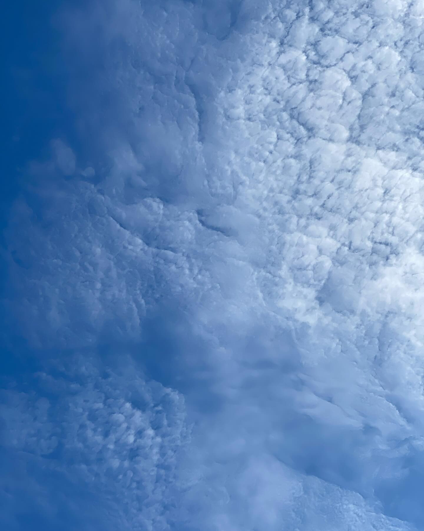 連休初日はいいお天気っ♡
私は明日までお昼のお仕事です(´・ω・｀)

皆様素敵な連休を☘️

@clubgalle2580 
#すすきの#クラブ我礼
#連休