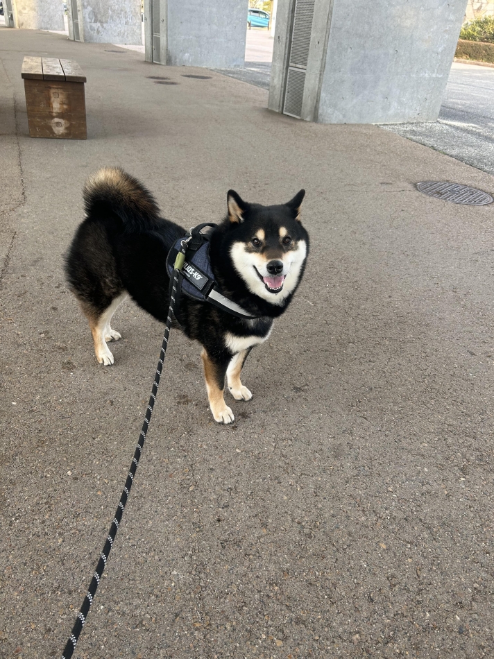 カラオケハイボールbar美人姉妹日記1614619