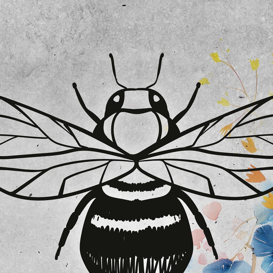 CLUB LUSIA ホットニュース 105230