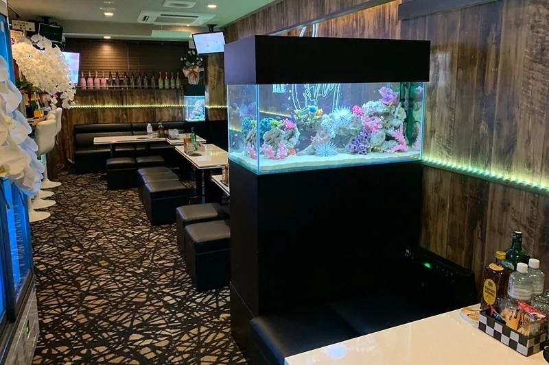 Snack & Bar Chip ホットニュース 107006