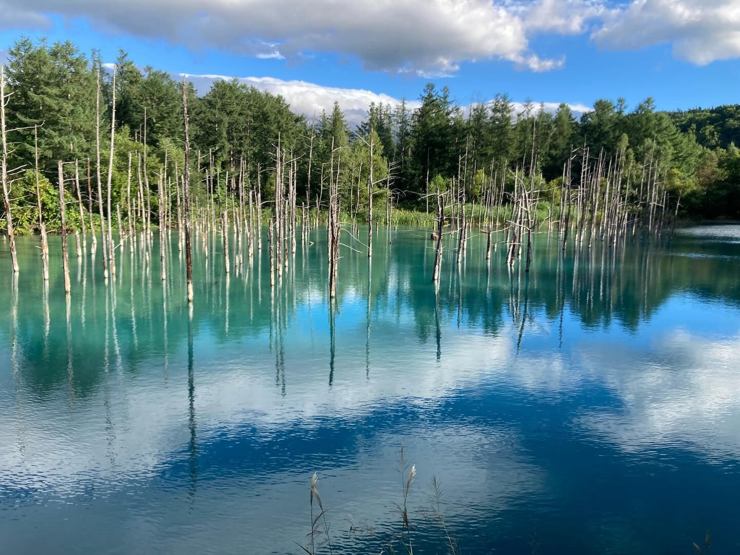 結局、飲んだ次の日は辛い物😅
久しぶりのラマイ🍛安定の美味しさ😋次回はもう少し辛くしてみよ〜🤔

今週も始まりましたね😊
今週も楽しく飲みましょう✨✨

@clubgalle2580 
#club我礼#すすきの#さっぽろ #スープカレー#青い池