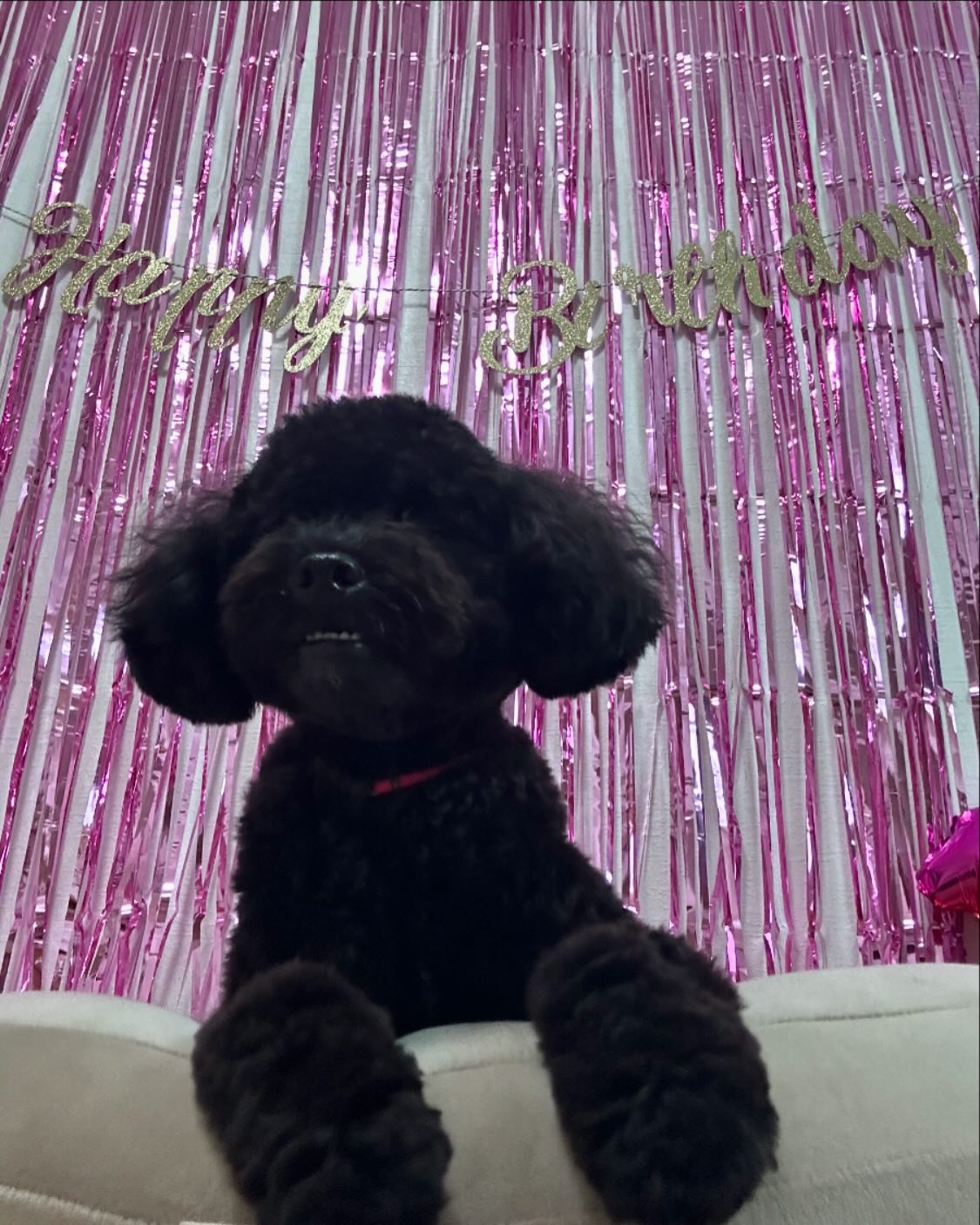 おはよ！
日曜日もお店やってるよー🥳

club GATE 
札幌市中央区南6条西4丁目第21桂和ビル2階 
TEL:011-511-5222
 @gatesusukino

 #ススキノ#ニュークラ#ニュークラブ#ゲート#キャバクラ#キャバ嬢#すすきの#ほしのゆめ#北海道#札幌#北海道旅行#札幌旅行#日曜営業#日曜日も営業してます#いいね返し#SAPPORO#susukino#newclub#clubGATE#GATE#gatesusukino#🍻#🍾