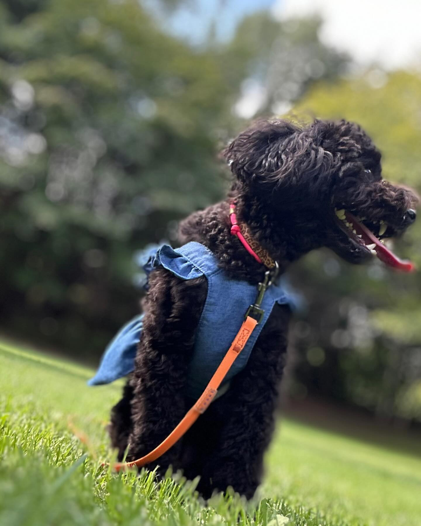 金曜日！！！

おはよーだよー☺️

club GATE 
札幌市中央区南6条西4丁目第21桂和ビル2階 
TEL:011-511-5222
 @gatesusukino

 #ススキノ#ニュークラ#ニュークラブ#ゲート#キャバクラ#キャバ嬢#すすきの#ほしのゆめ#北海道#札幌#北海道旅行#札幌旅行#日曜営業#日曜日も営業してます#いいね返し#SAPPORO#susukino#newclub#clubGATE#GATE#gatesusukino#🍻#🍾