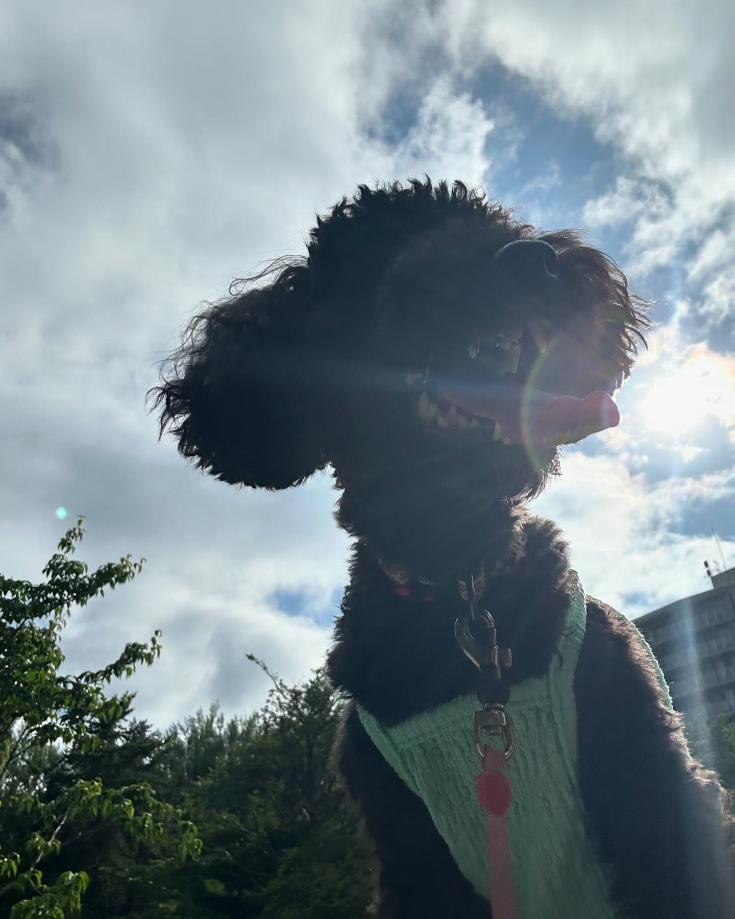 今日と明日は私はお休みです☺️

お店はやってます✌🏻

club GATE 
札幌市中央区南6条西4丁目第21桂和ビル2階 
TEL:011-511-5222 
@gatesusukino 

#ススキノ#ニュークラ#ニュークラブ#ゲート#キャバクラ#キャバ嬢#すすきの#ほしのゆめ#北海道#札幌#北海道旅行#札幌旅行#日曜営業#日曜日も営業してます#いいね返し#SAPPORO#susukino#newclub#clubGATE#GATE#gatesusukino#🍻#🍾