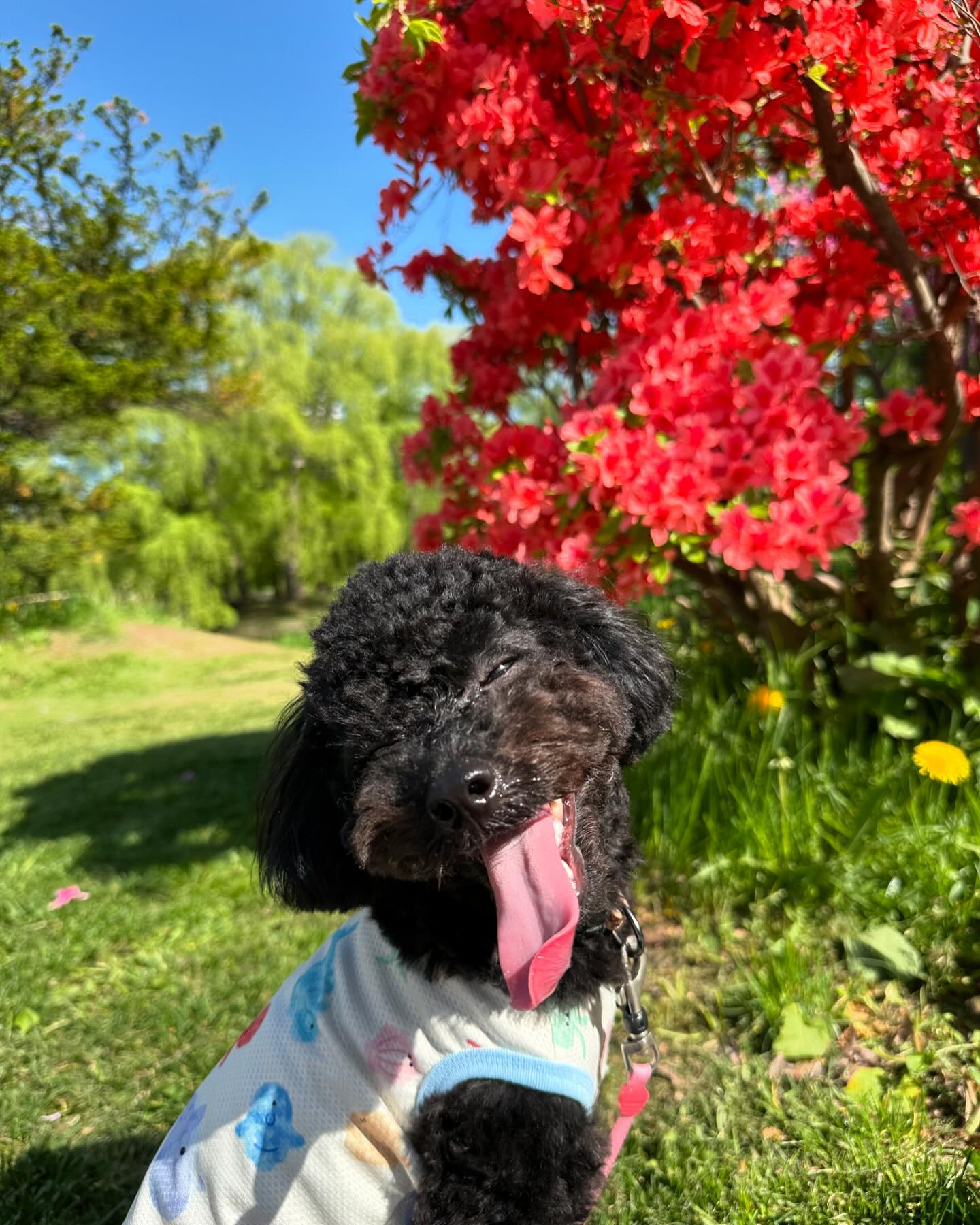 お盆だって休まず営業してます！！

🪦🙏🏻

club GATE 
札幌市中央区南6条西4丁目第21桂和ビル2階 
TEL:011-511-5222
 @gatesusukino

 #ススキノ#ニュークラ#ニュークラブ#ゲート#キャバクラ#キャバ嬢#すすきの#ほしのゆめ#北海道#札幌#北海道旅行#札幌旅行#日曜営業#日曜日も営業してます#いいね返し#SAPPORO#susukino#newclub#clubGATE#GATE#gatesusukino#🍻#🍾