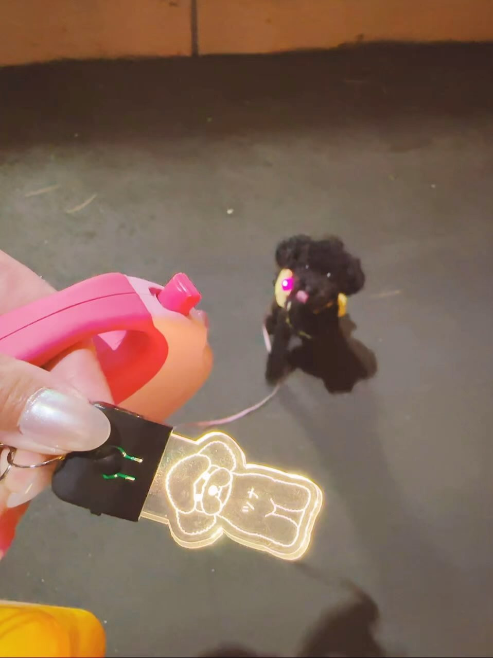 お土産いただいたの早速使う🫶🏻

レインボー🌈に光って縁起いい。

何とは言わないけど🤭

club GATE 
札幌市中央区南6条西4丁目第21桂和ビル2階 
TEL:011-511-5222
 @gatesusukino

 #ススキノ#ニュークラ#ニュークラブ#ゲート#キャバクラ#キャバ嬢#すすきの#ほしのゆめ#北海道#札幌#北海道旅行#札幌旅行#日曜営業#日曜日も営業してます#いいね返し#SAPPORO#susukino#newclub#clubGATE#GATE#gatesusukino#🍻#🍾