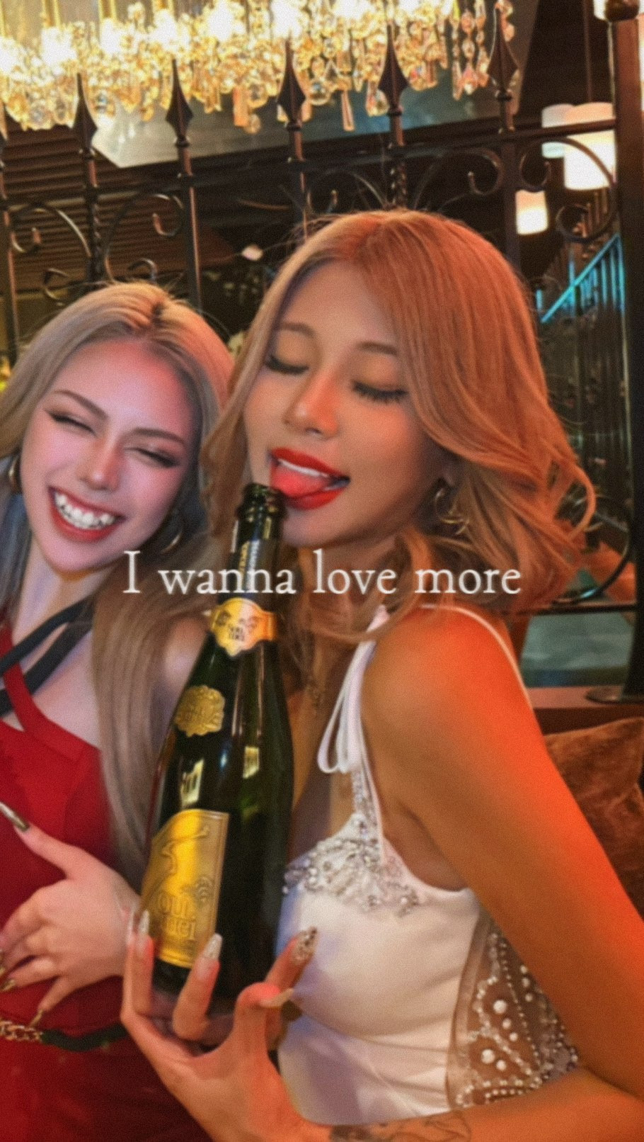 Orange Terrace日記1159256