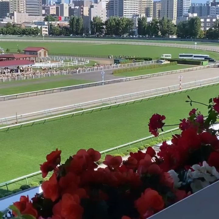 .
馬好きー！といいつつなんだかんだ競馬場に行かずネットで馬券買ってた出不精ですが🙃

なんと！なんと！
数年付き合いのある馬主のお客様にお願いして札幌記念の馬主席を用意して頂きました🦄♥️

本当にありがとう🙌🎉

初めての競馬場が馬主席でいいのかな😇笑

暑いしとにかく人多いしUMAJO漸く見つけたと思ったら反対側でなんなら満席だったし競馬場メシも食べれなかったけど、推しを快適に苦しまず応援出来て幸せな気持ち…✨

ステラもカルパくんも3着で、掲示板入った姿を生で見れて嬉しかったなあ🥺💕

今度ゆっく
