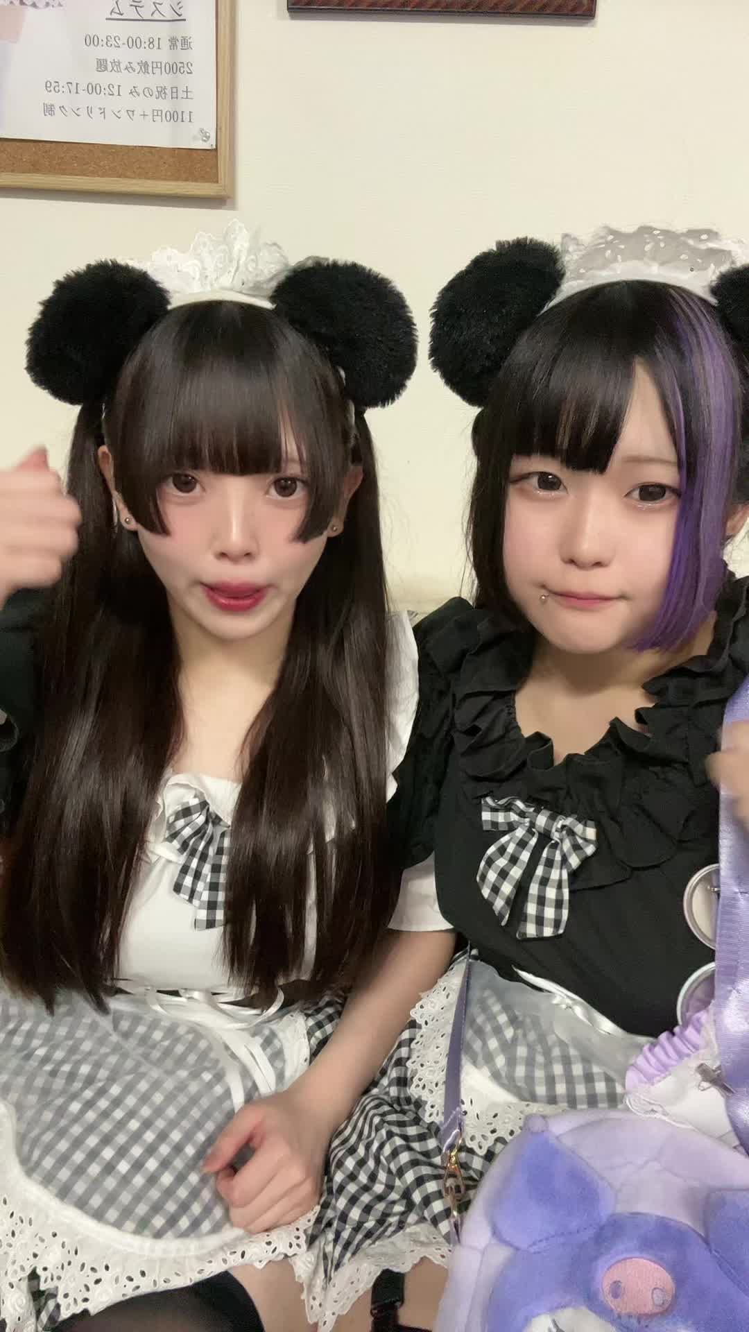 メイドカフェRA ぱんだぱすぽーと ホットニュース 109721